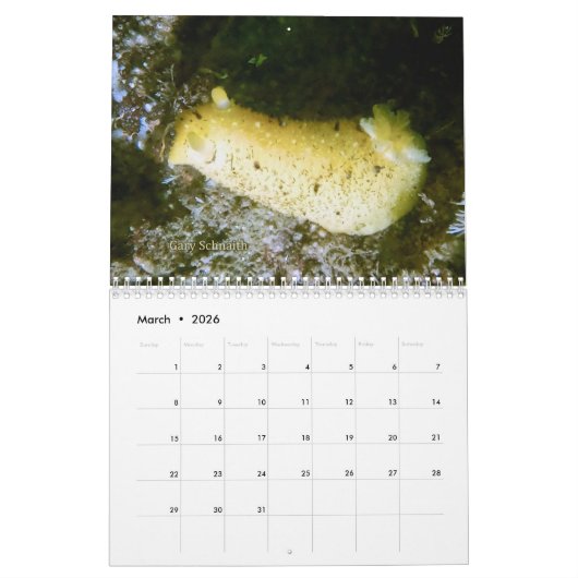 2026 SeaHorse Dive Club Photo Contest Calendar Kalender (Mär 2026)