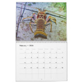 2026 SeaHorse Dive Club Tropical Diving Calendar Kalender (Feb 2026)