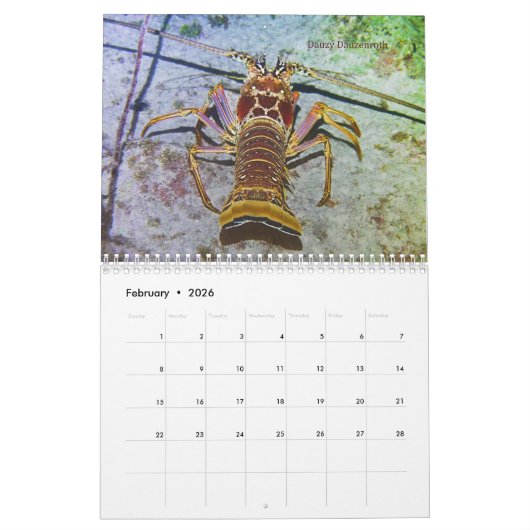 2026 SeaHorse Dive Club Tropical Diving Calendar Kalender (Feb 2026)