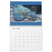 2026 SeaHorse Dive Club Tropical Diving Calendar Kalender (Mär 2026)