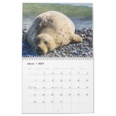 2026-Seelöwen-Kalender Kalender (Mär 2027)