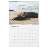 2026-Seelöwen-Kalender Kalender (Jan 2027)