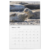 2026-Seelöwen-Kalender Kalender (Feb 2027)