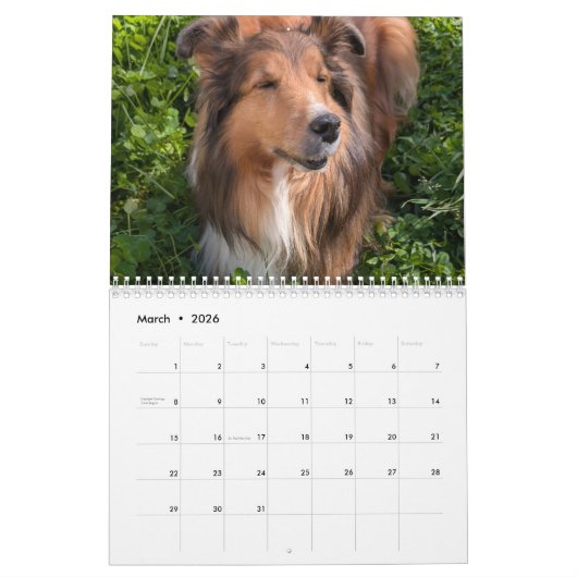 2026 Sheltie Calendar Kalender (Mär 2026)