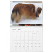 2026 Sheltie Calendar Kalender (Jan 2027)