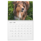 2026 Sheltie-Kalender Kalender (Mär 2027)