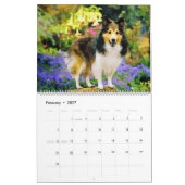 2026 Shetland Sheepdog Sheltie Mama Owner Kalender (Feb 2027)