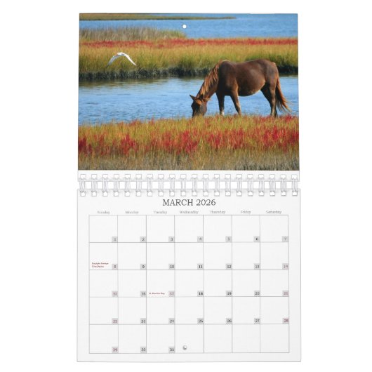 2026 SIMPLE HORSES CALENDAR KALENDER (Mär 2026)
