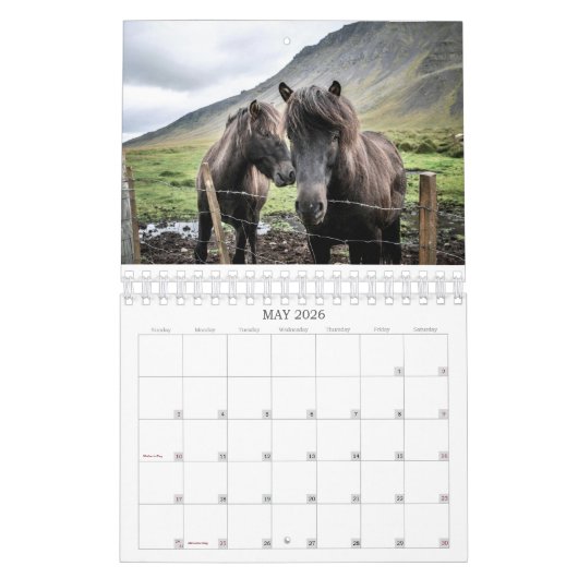 2026 SIMPLE HORSES CALENDAR KALENDER (Mai 2026)