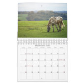 2026 SIMPLE HORSES CALENDAR KALENDER (Feb 2026)