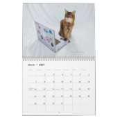 2026 Somali Cat Calendar Featuring Summer Samba Kalender (Mär 2027)