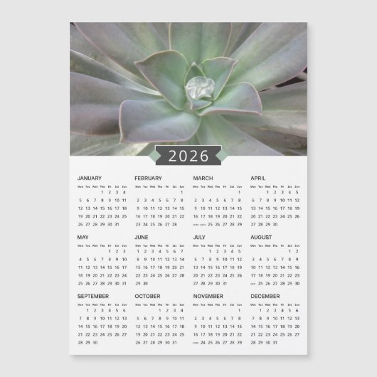 2026 Succulent Fotografy Calendar Magnet (Vorderseite)