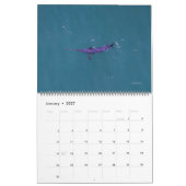 2026 Swordfish Calendar Kalender (Jan 2027)