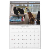 2026 TCF and Friends Calendar Kalender (Mär 2027)