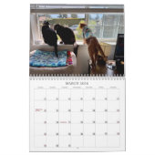2026 TCF and Friends Calendar Kalender (Mär 2026)