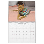 2026 TCF and Friends Calendar Kalender (Feb 2026)