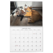 2026 TCF und Freunde Kalender (Jan 2027)