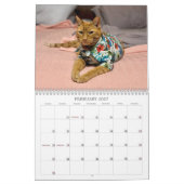 2026 TCF und Freunde Kalender (Feb 2027)