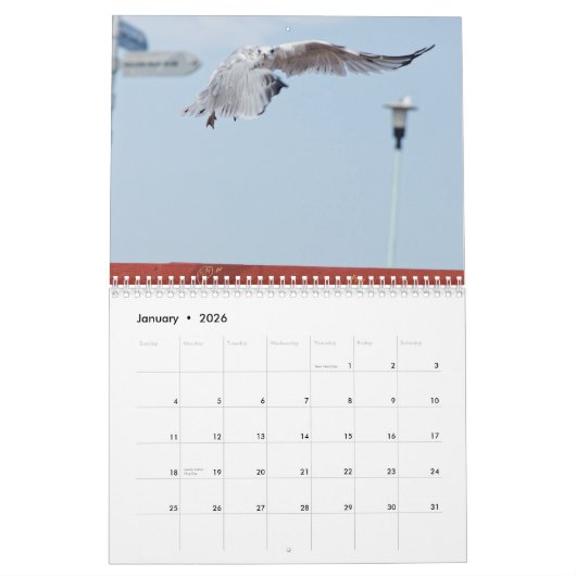 2026 The Seated View Calendar Kalender (Jan 2026)