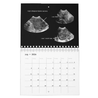 2026 Tiermedizinischer Ultraschallkalender Kalender