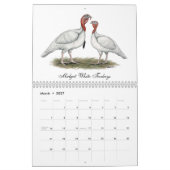2026 Truthahn-Kalender Kalender (Mär 2027)