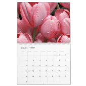 2026 Tulpen Wandkalender (Jan 2027)