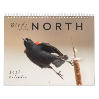2026 Vögel des Nordens: Kalender für die Großen Se