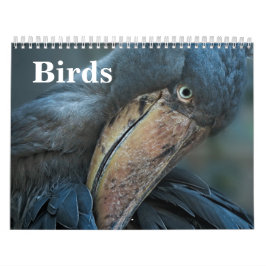 2026 Vögel Kalender