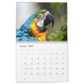 2026 Vögel Kalender (Jan 2027)