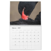 2026 Vögel Kalender (Feb 2027)