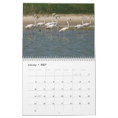 2026 Vogelkalender Kalender (Jan 2027)