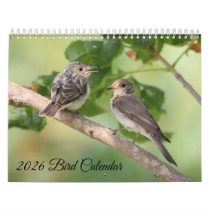 2026 Vogelkalender Kalender