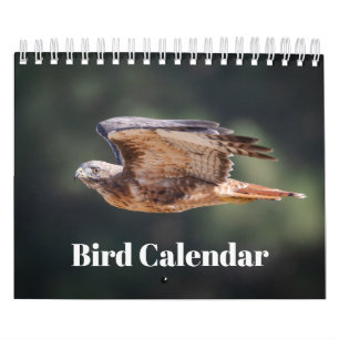 2026 Vogelkalender Kalender