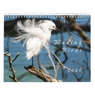 2026 Wading Birds Original Photo Calendar Kalender