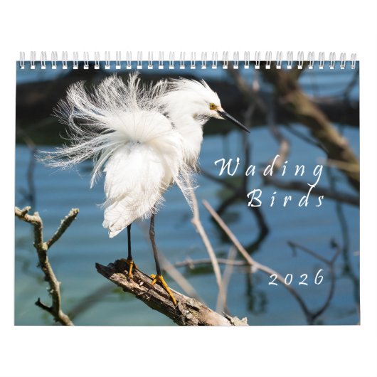 2026 Wading Birds Original Photo Calendar Kalender (Titelbild)