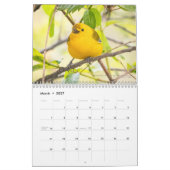 2026 Waldsänger - Originaler Vogel-Fotokalender Kalender (Mär 2027)