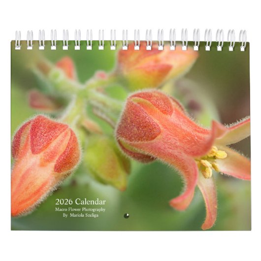 2026 Wall Calendar Flowers in Macro Photography Kalender (Titelbild)