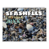 2026 Wall Seashell Calendar Beach Shells Gift Kalender (Titelbild)
