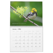 2026 Warblers - Original Bird Photo Calendar Kalender (Jan 2026)