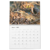 2026 Watvögel Original-Fotokalender Kalender (Mär 2027)