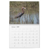 2026 Watvögel Original-Fotokalender Kalender (Jan 2027)