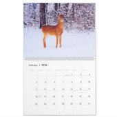 2026 Weißwedelhirsch-Aquarellmalerei Wildtiere Kalender (Jan 2026)