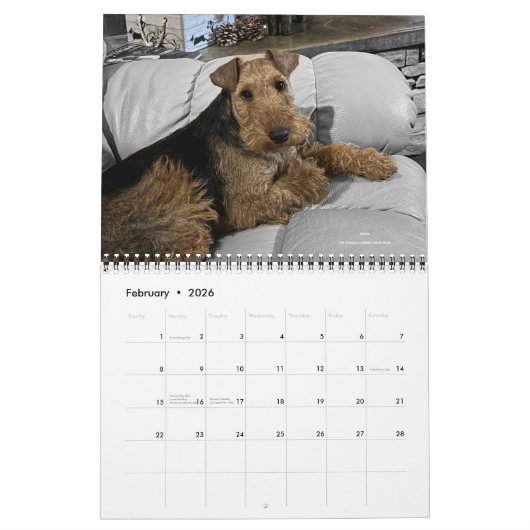 2026 Welsh Terrier Calendar Kalender (Feb 2026)