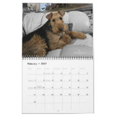 2026 Welsh-Terrier-Kalender Kalender (Feb 2027)