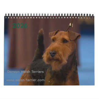 2026 Welsh-Terrier-Kalender Kalender