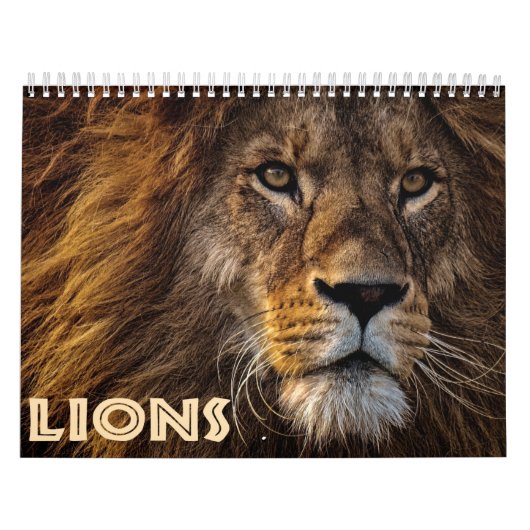 2026 Wild Lions Kalender (Titelbild)