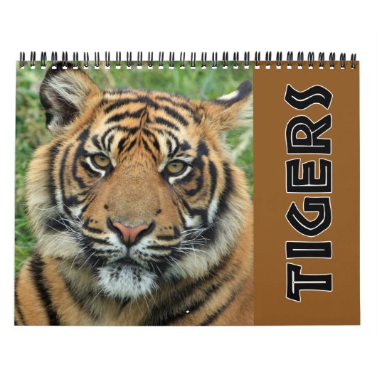 2026 Wild Tiger Kalender (Titelbild)