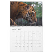 2026 Wild Tiger Kalender (Jan 2027)