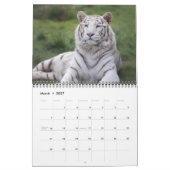 2026 Wild Tiger Kalender (Mär 2027)