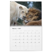 2026 Wilde Löwen Kalender (Feb 2027)